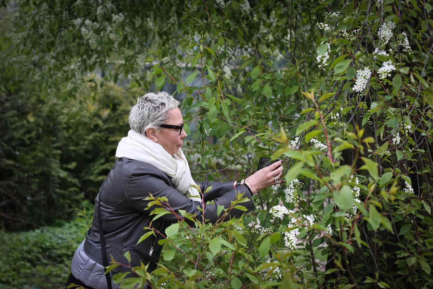 Leafsnap Is an App That Identifies Crops of All Varieties