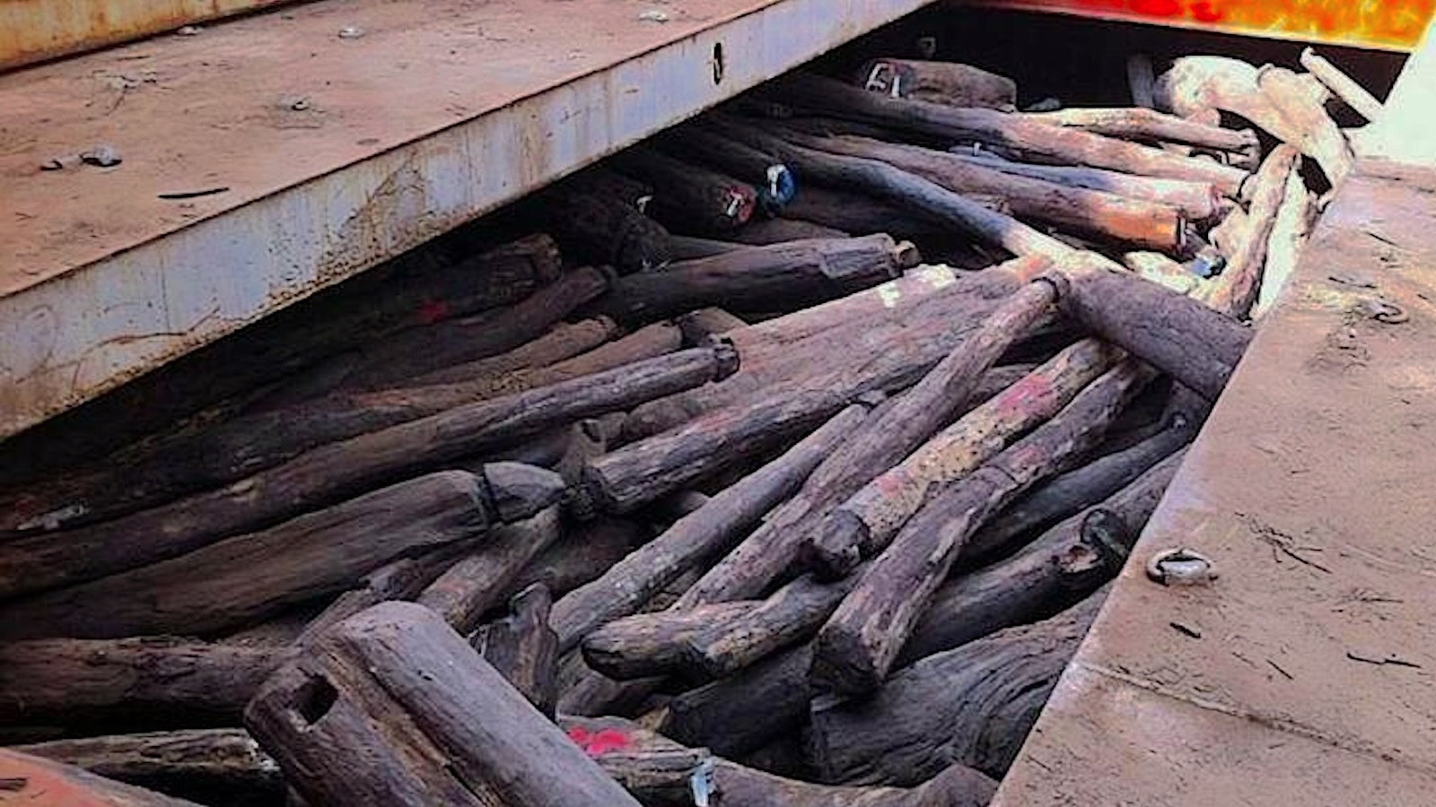 How Traffickers Acquired Away with the Largest Rosewood Heist in Historical past