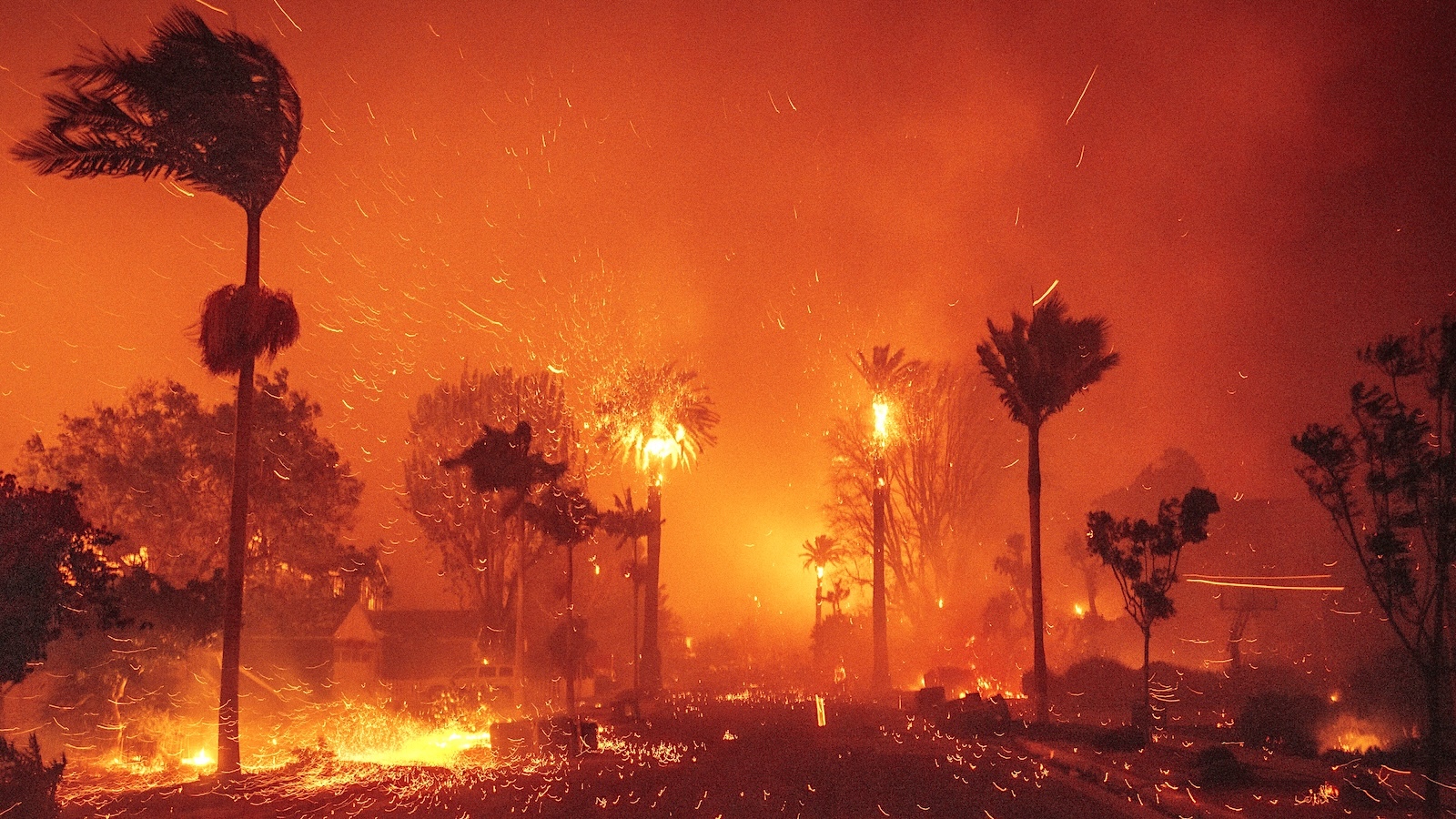 Whiplash: How Big Swings in Precipitation Fueled the L.A. Fires