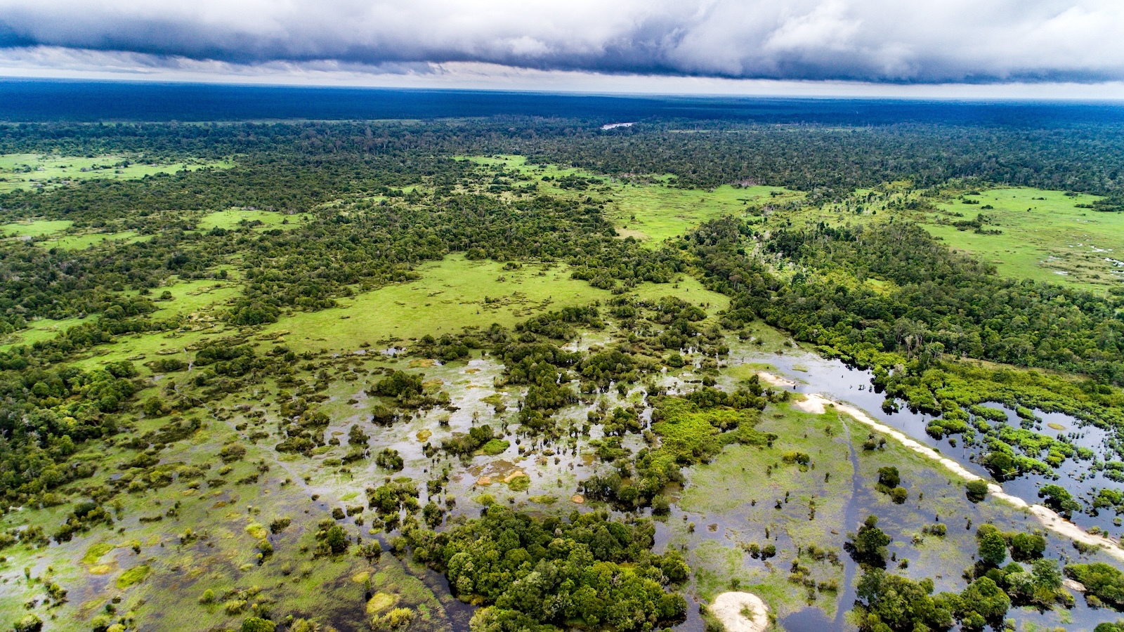 Will UN Carbon Market Work? Indonesia Will Current First Check out